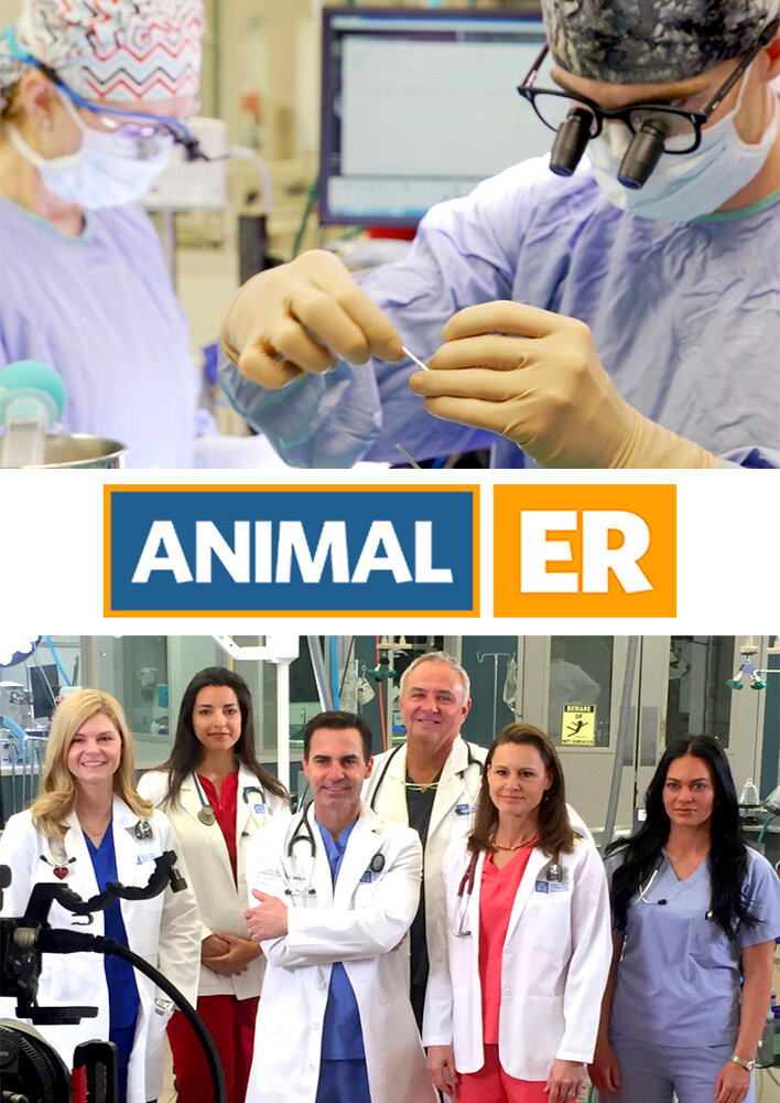 Animal ER