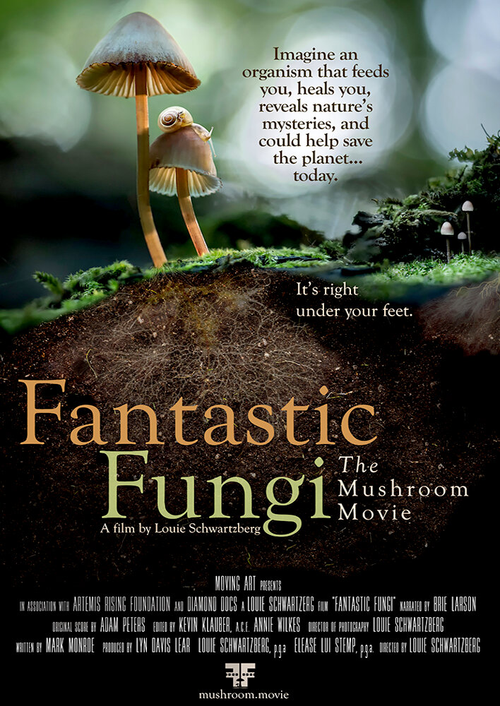 Fantastic Fungi