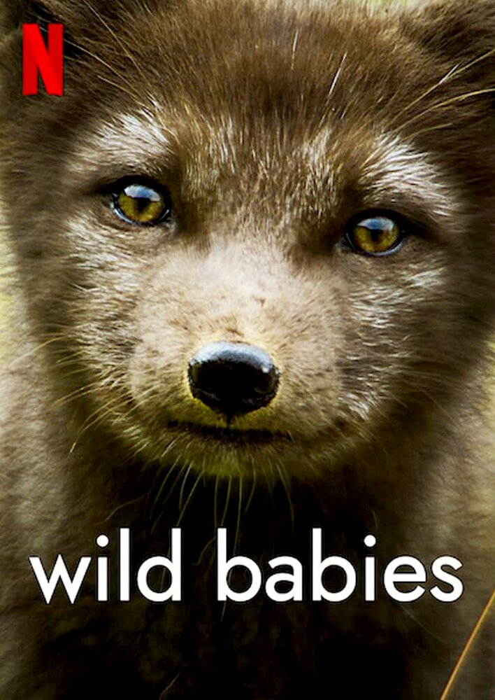 Wild Babies