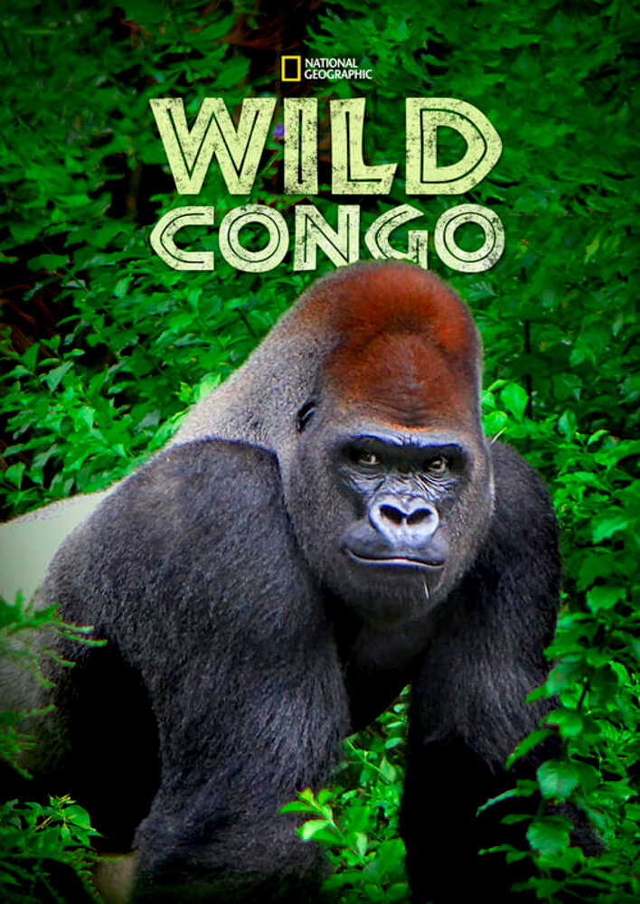 Wild Congo