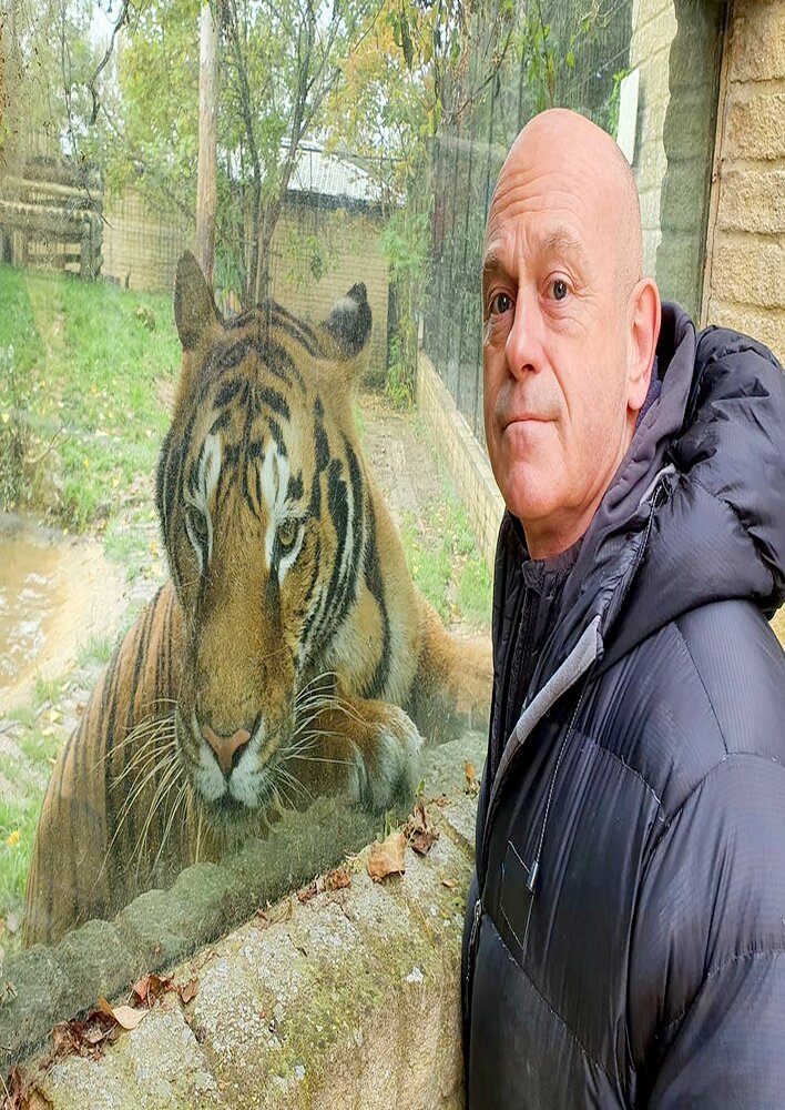 Britain's Tiger Kings - On the Trail with Ross Kemp