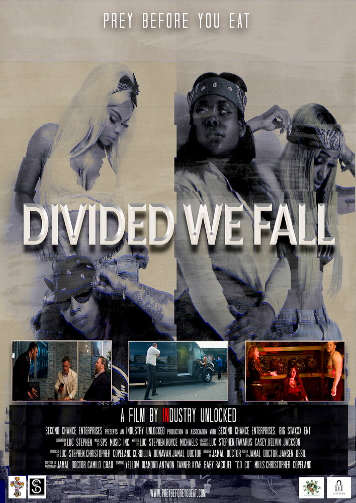 Divided We Fall