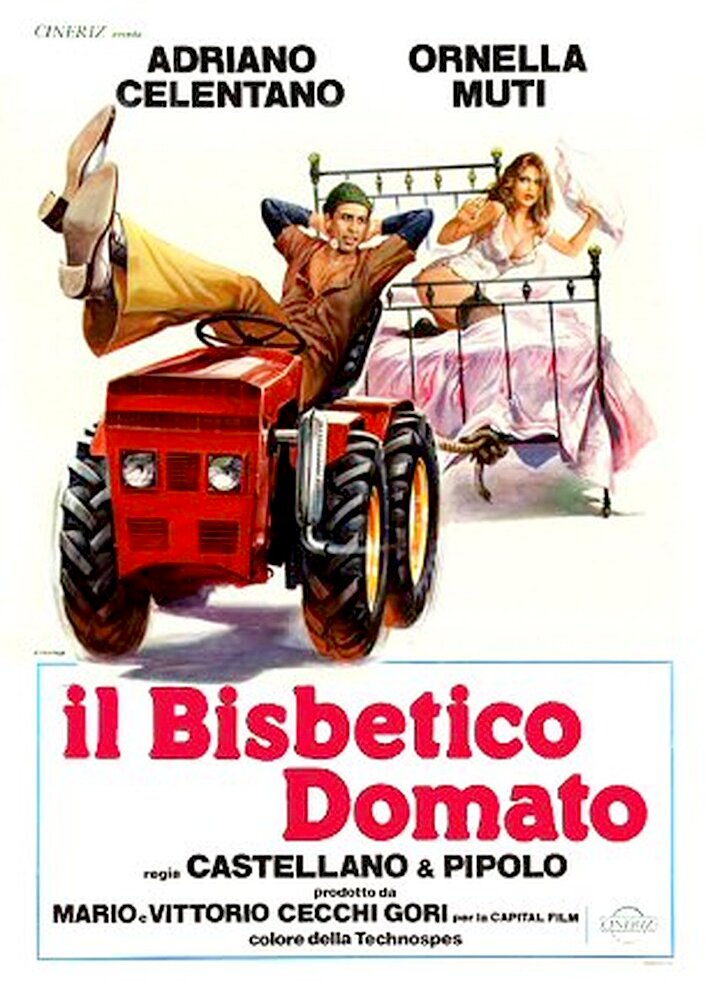 Il bisbetico domato