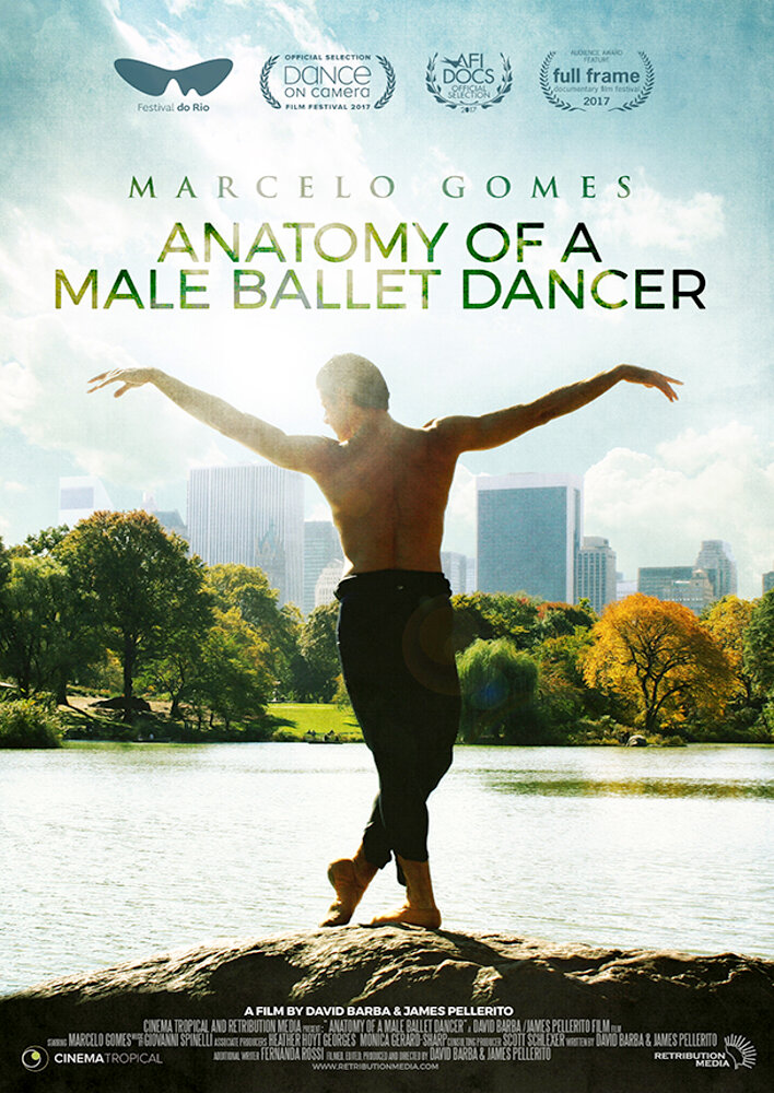 Anatomy of a Male Ballet Dancer