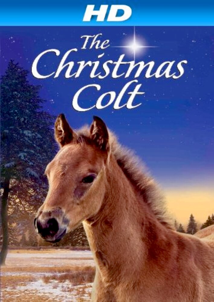 The Christmas Colt