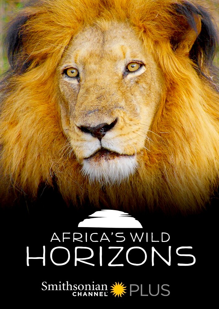 Africa's Wild Horizons