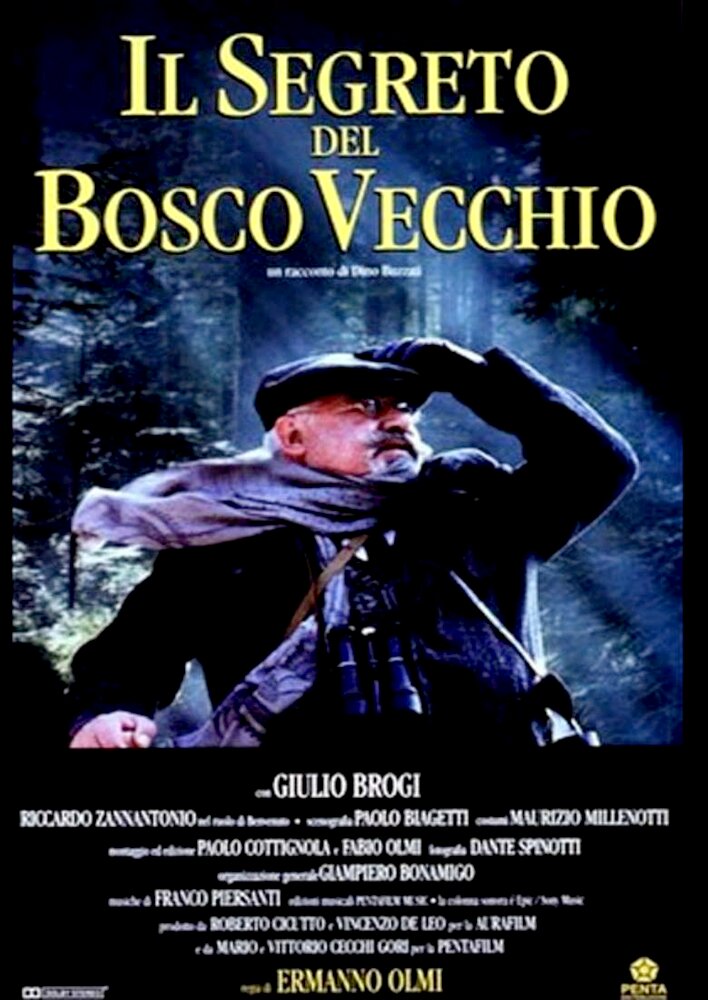 Il segreto del bosco vecchio