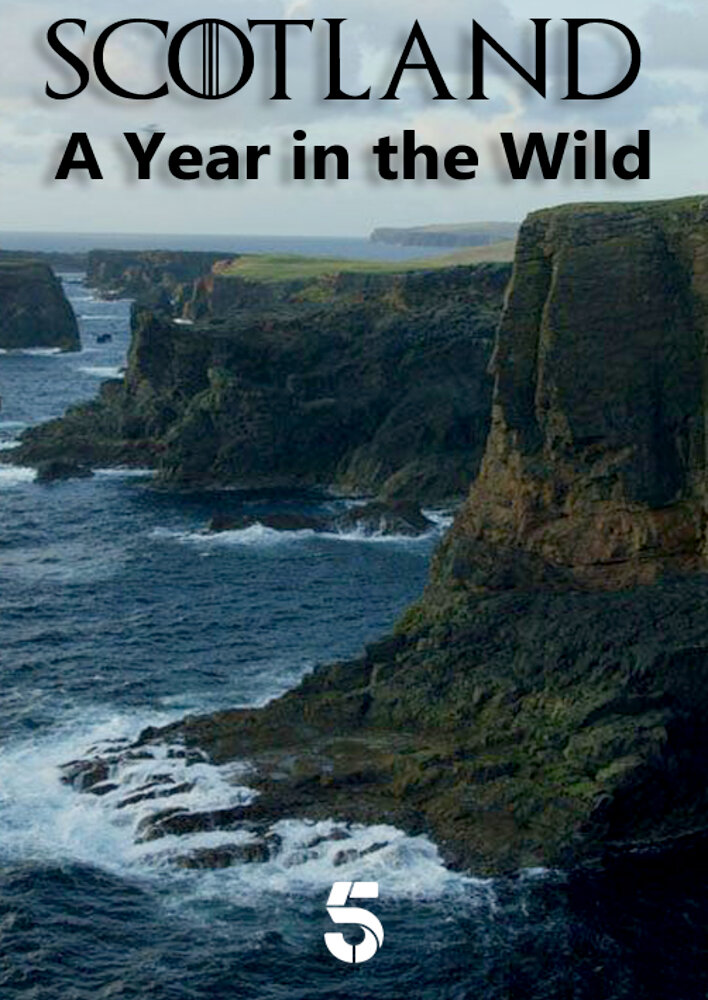 Scotland: A Wild Year