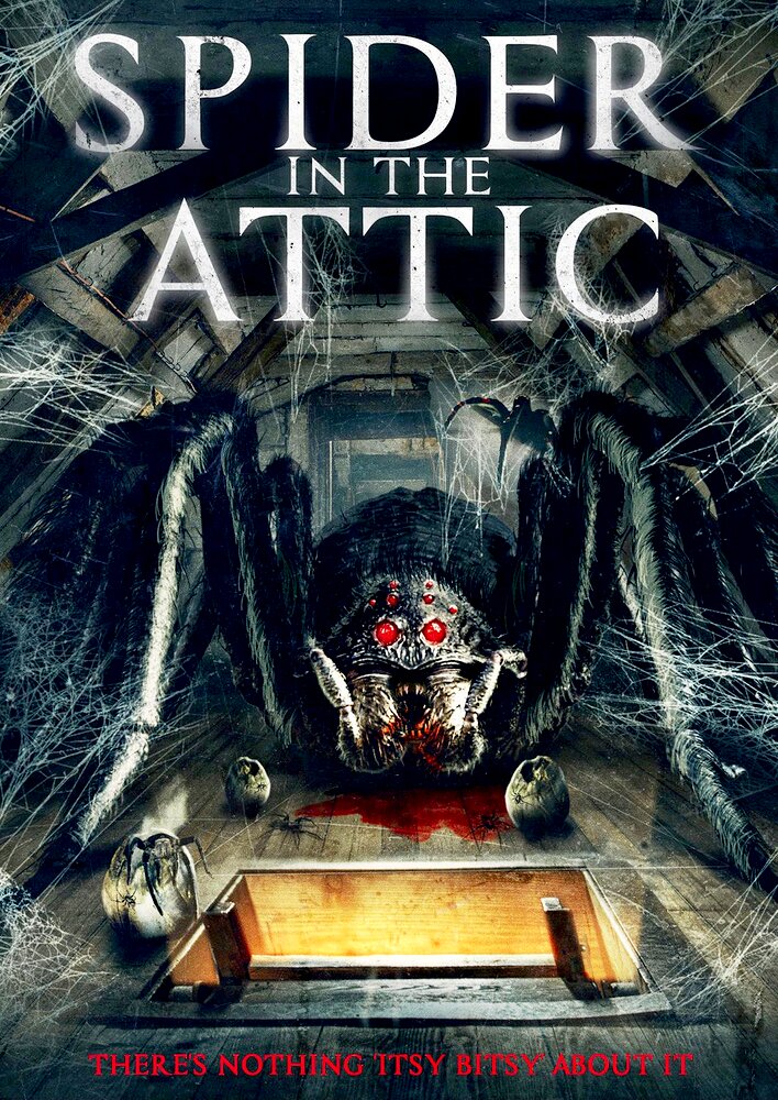 Spider in the Attic