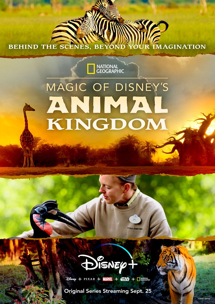 Magic of Disney's Animal Kingdom