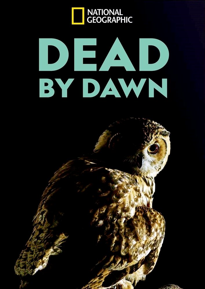 Dead by Dawn