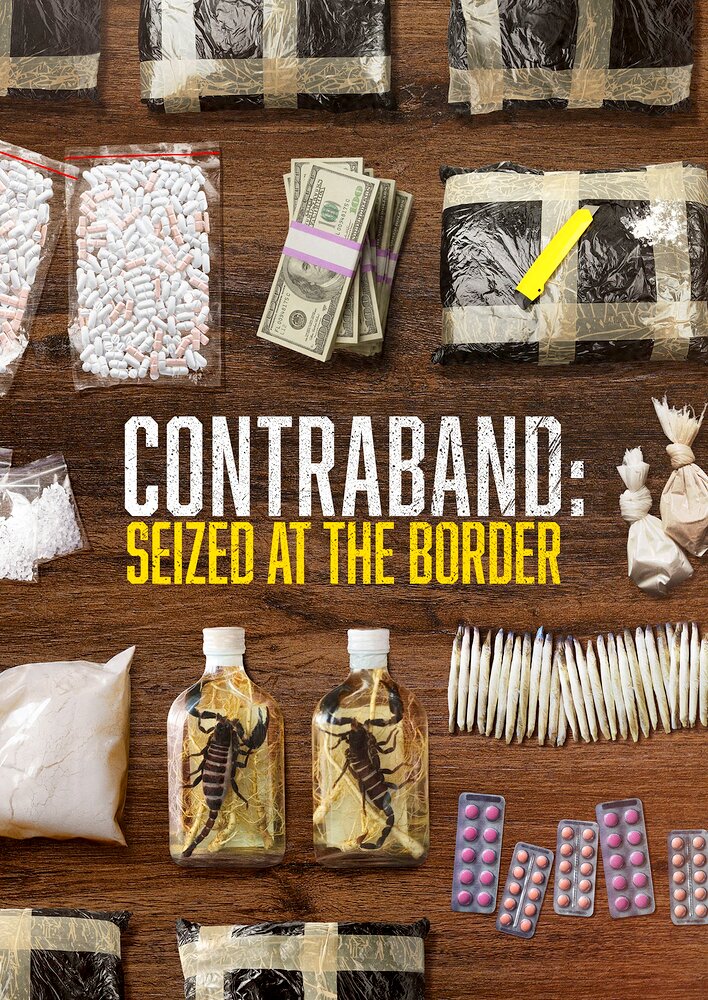 Contraband: Seized at the Border