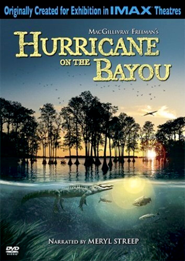 Hurricane on the Bayou