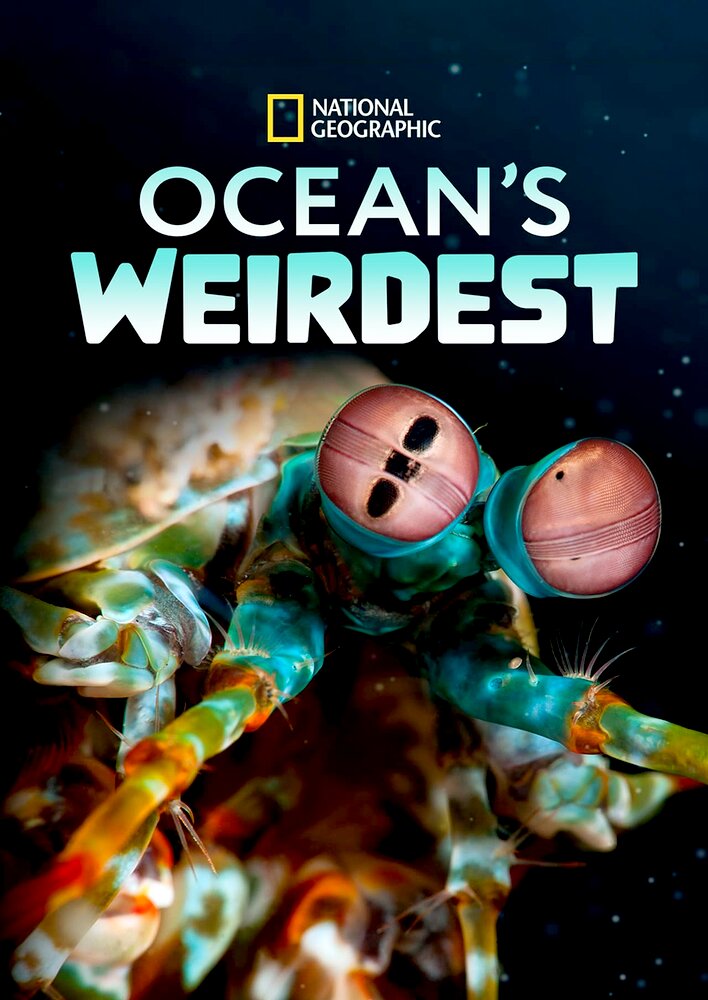 Ocean's Weirdest