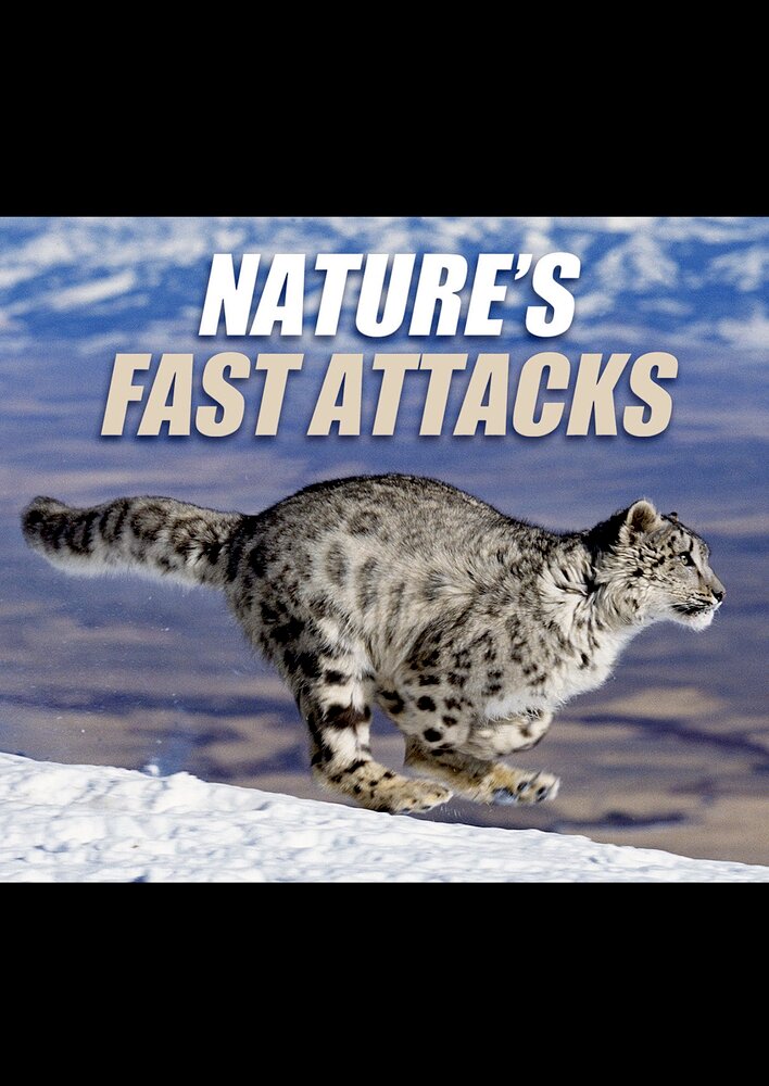 Nature's Fast Attacks