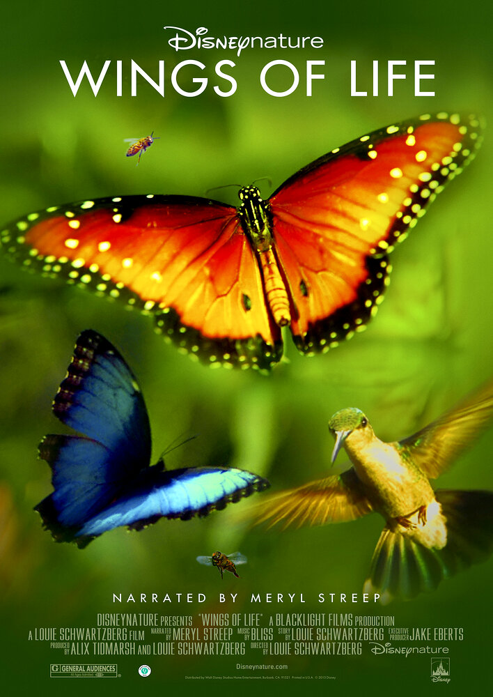 Disneynature: Wings of Life