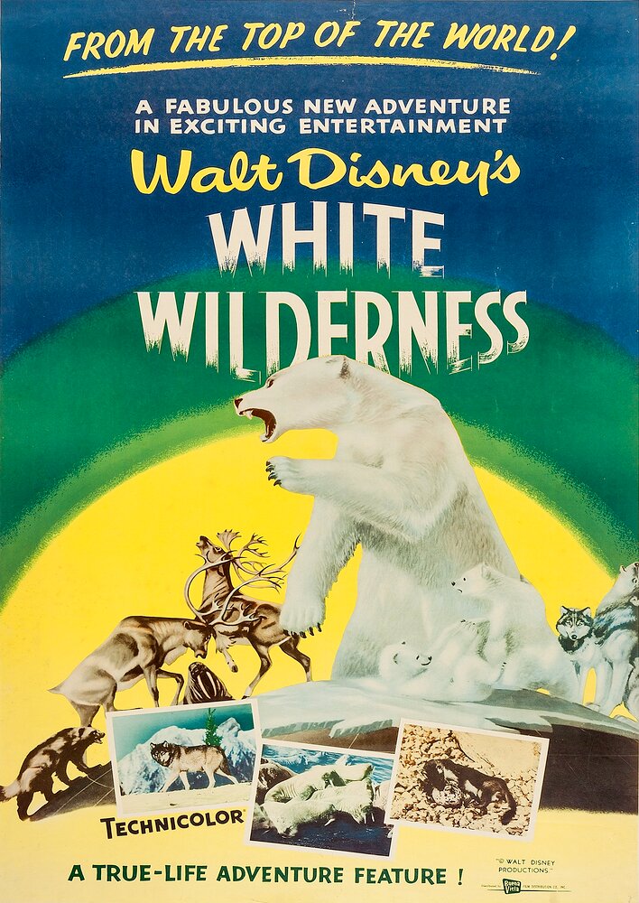 White Wilderness