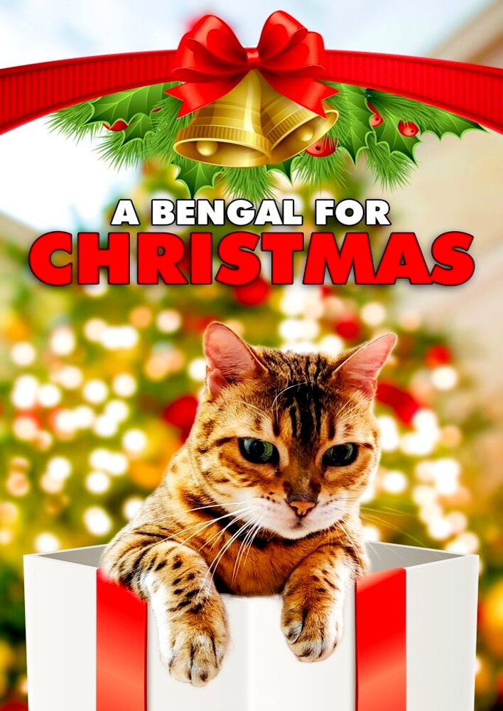 A Bengal for Christmas