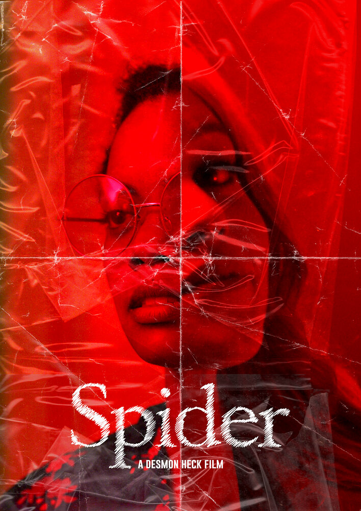 Spider