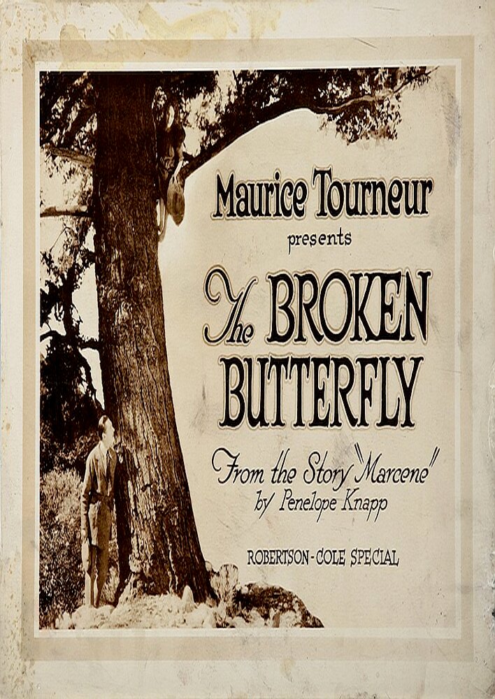 The Broken Butterfly