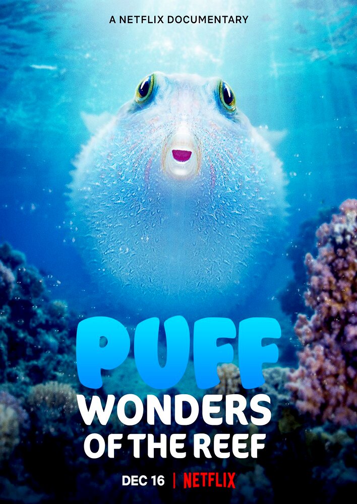 Puff: Wonders of the Reef