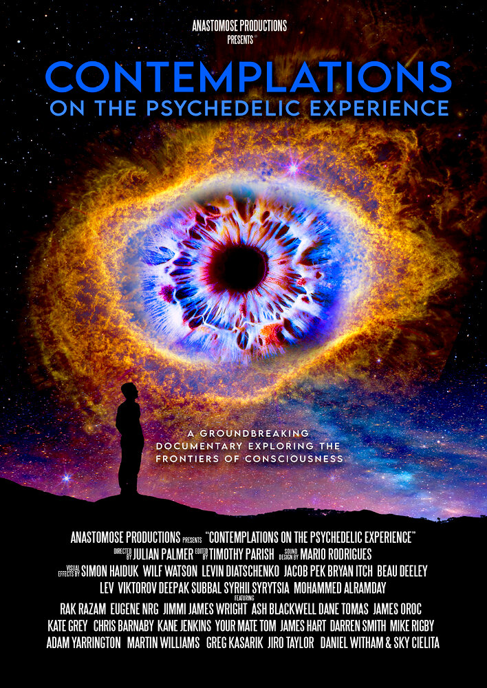 Contemplations: On the Psychedelic Experience