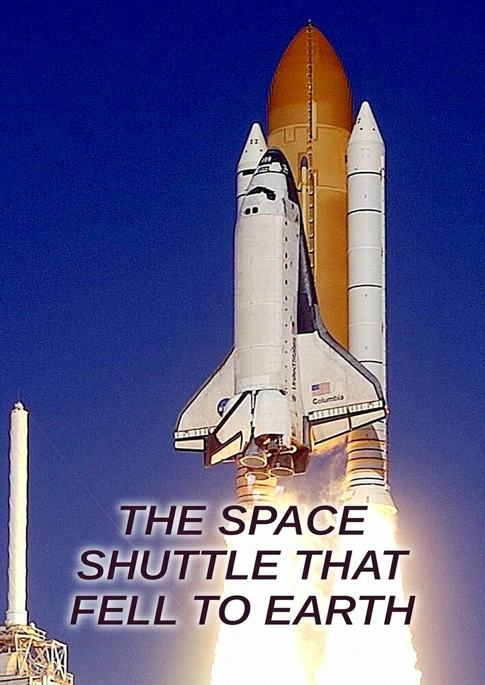 The Space Shuttle That Fell to Earth