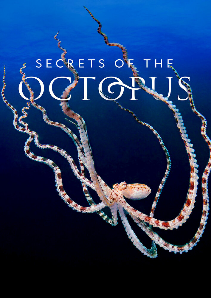 Secrets of the Octopus