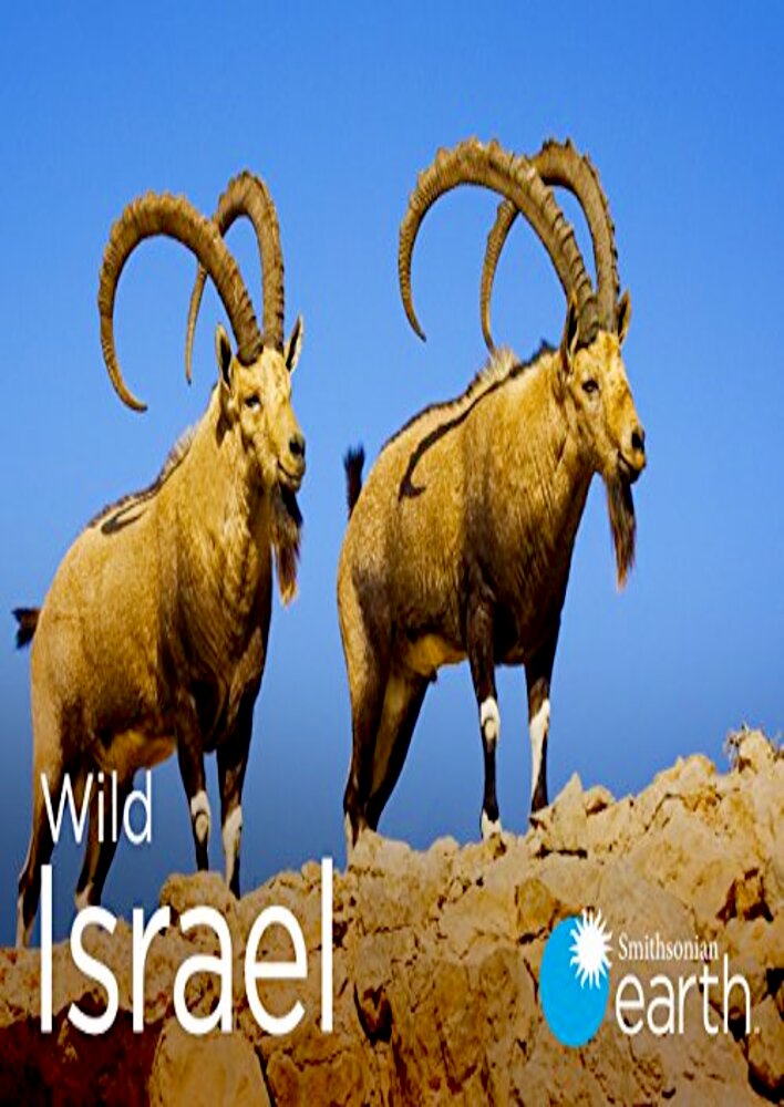 Wild Israel