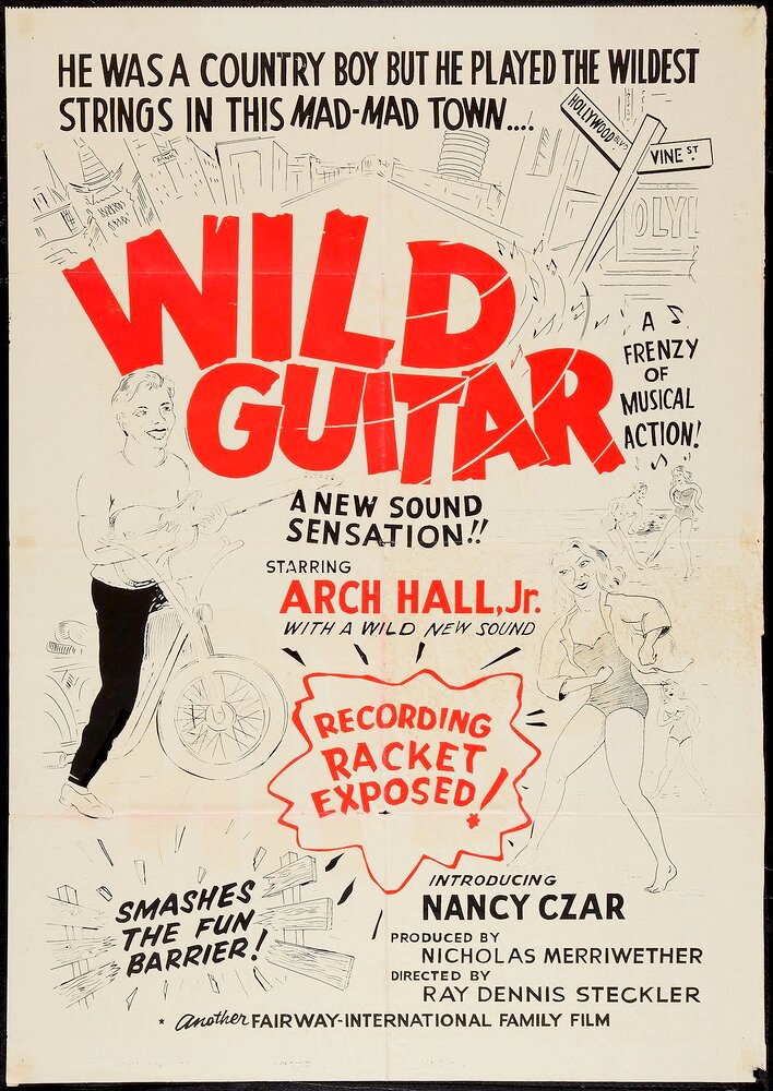 Wild Guitar