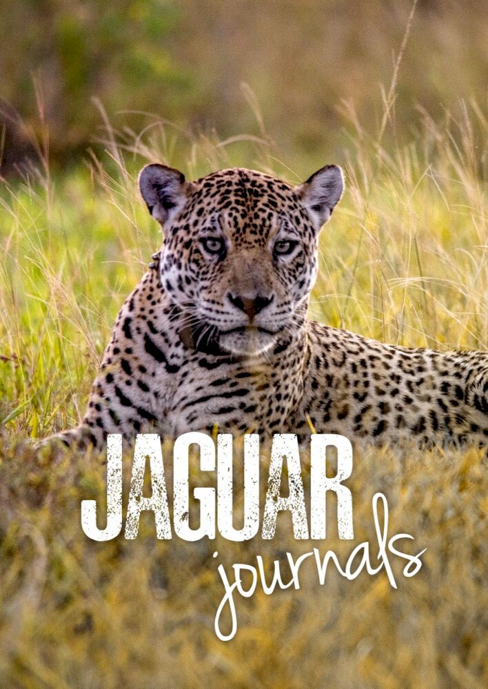 Jaguar Journals