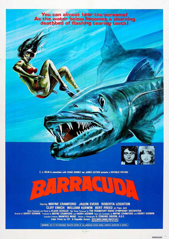 Barracuda