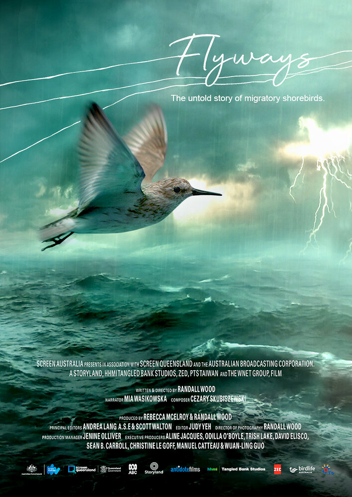 Flyways: the untold journey of migratory shorebirds