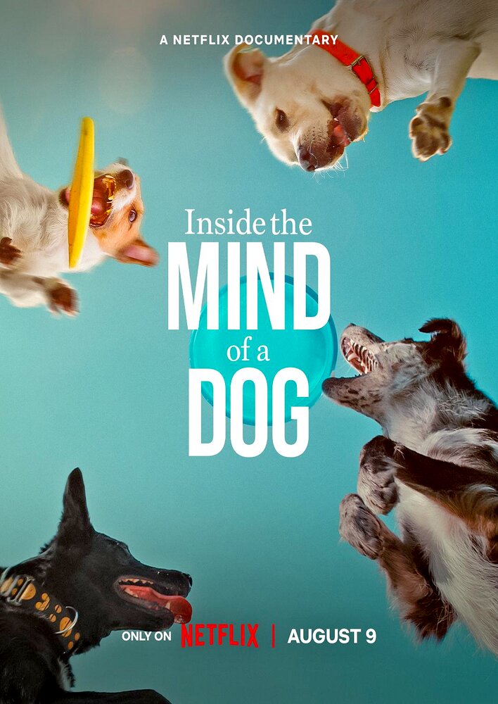 Inside the Mind of a Dog