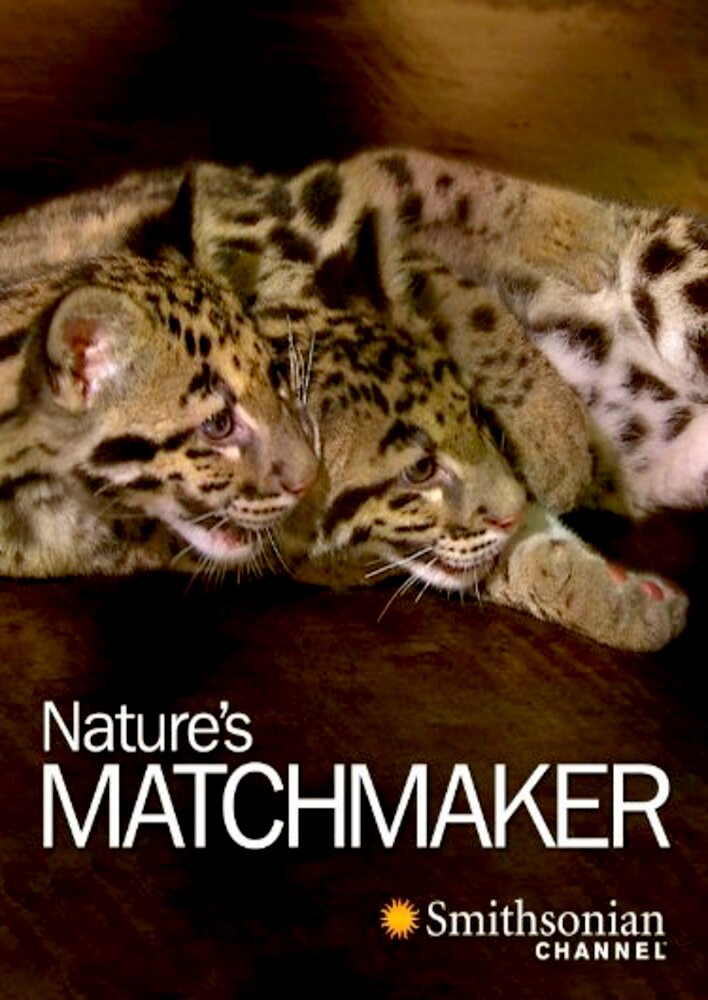 Nature's Matchmaker