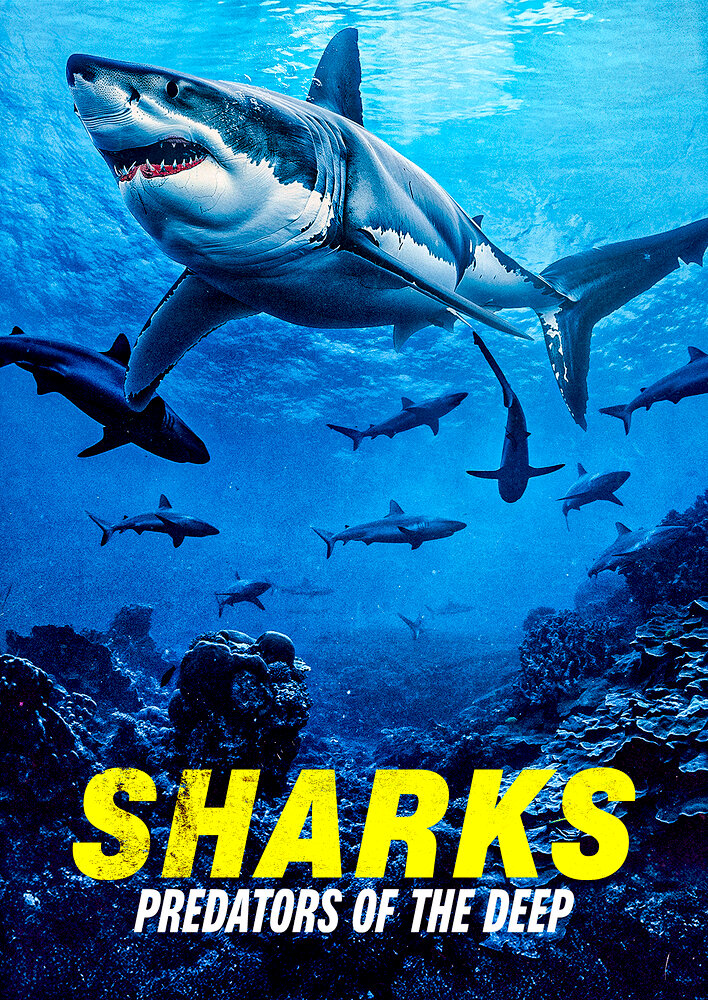 Sharks: Predators of the Deep