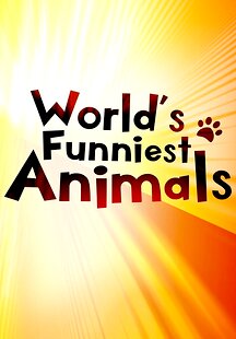 The World's Funniest Animals