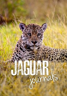 Jaguar Journals