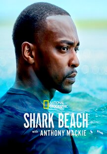 Shark Beach with Anthony Mackie