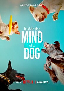 Inside the Mind of a Dog