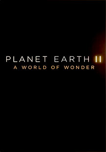 Planet Earth II: A World of Wonder