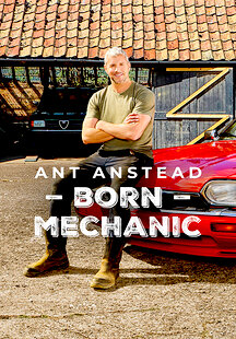 Ant Anstead: Born Mechanic