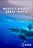 World's Biggest Great White Shark