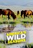 America's Wild Seasons