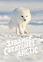 Strange Creatures of the Arctic