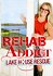 Rehab Addict Lake House Rescue