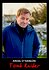 Ardal O'Hanlon: Tomb Raider