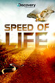 Speed of Life