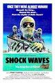 Shock Waves