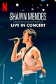 Shawn Mendes: Live in Concert